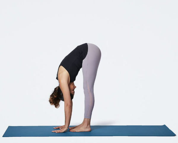 forward bends