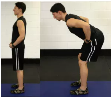 hip hinge stretch